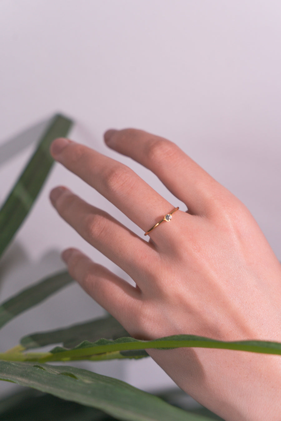 Golden Ring R-G10