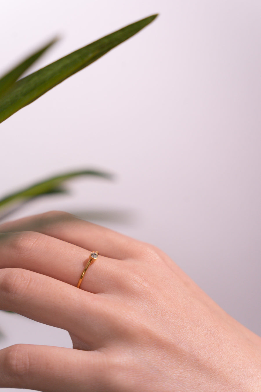 Golden Ring R-G10