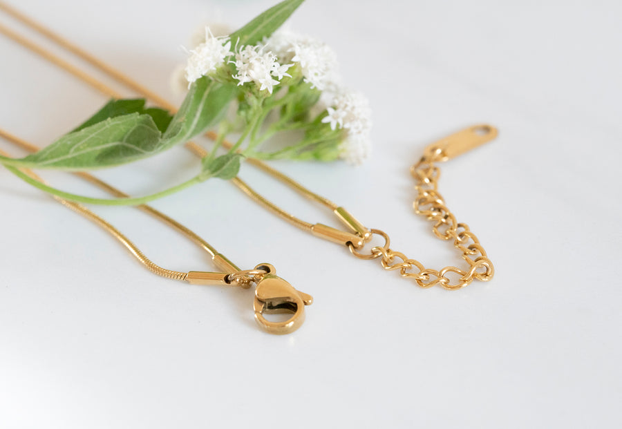 Double gold Necklace